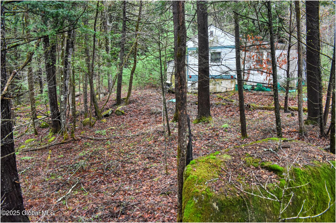 1290 Valentine Pond Road, Adirondack, New York image 8