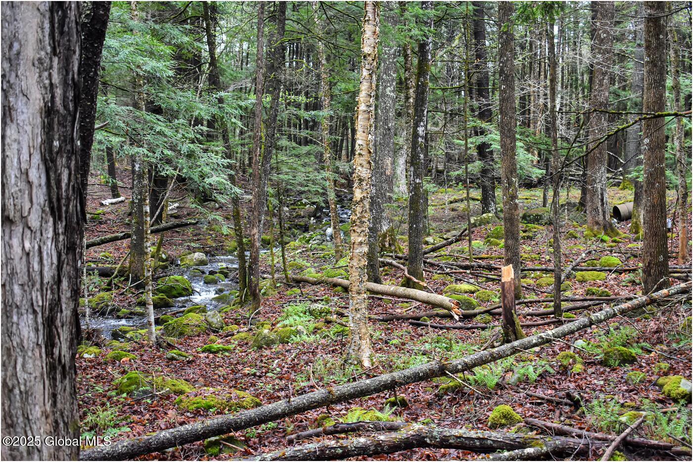1290 Valentine Pond Road, Adirondack, New York image 10