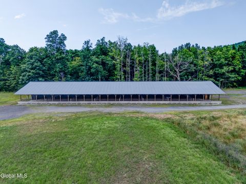 Photo of 1589 Switzkill Road, Berne, NY 12023 (MLS # 202523355)