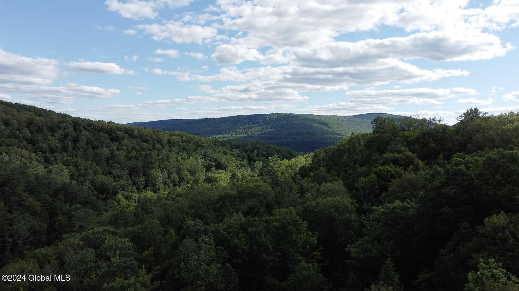 L15 Gorge Road, Middleburgh, New York image 18