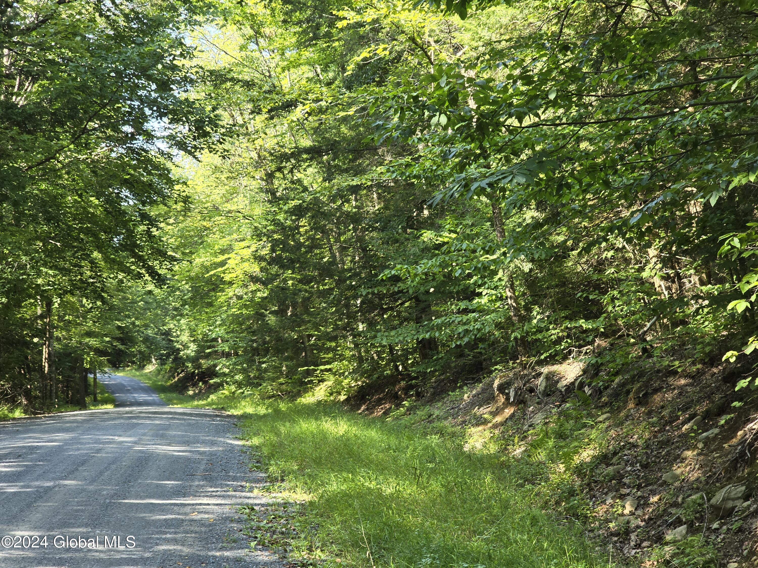 L3.2 Black River Road, Stephentown, New York image 12