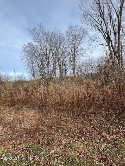 Vacant Land For Sale - 415 Gage Road<br/> Duanesburg, NY 12053