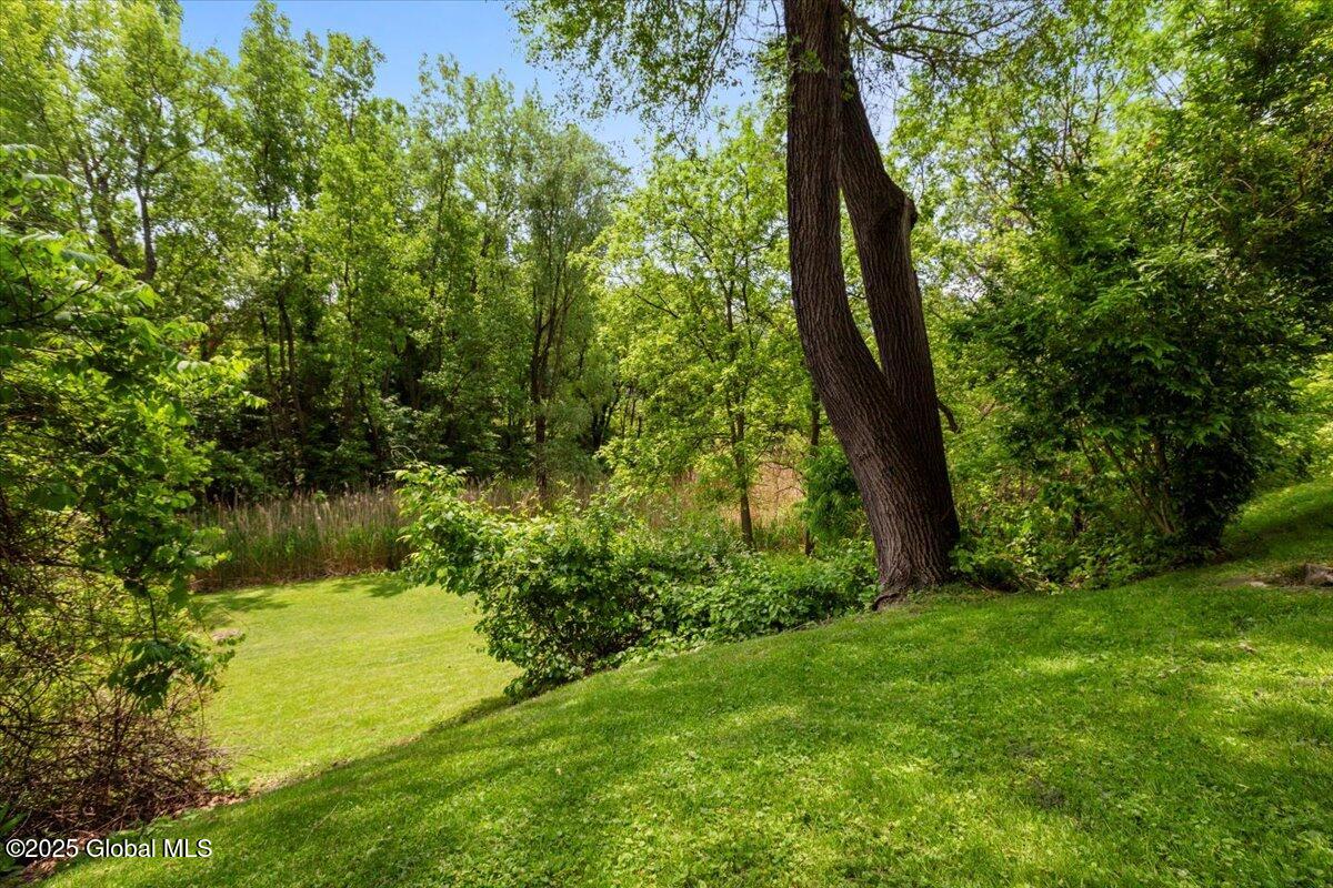 24 Sawyer Place, Albany, New York image 19