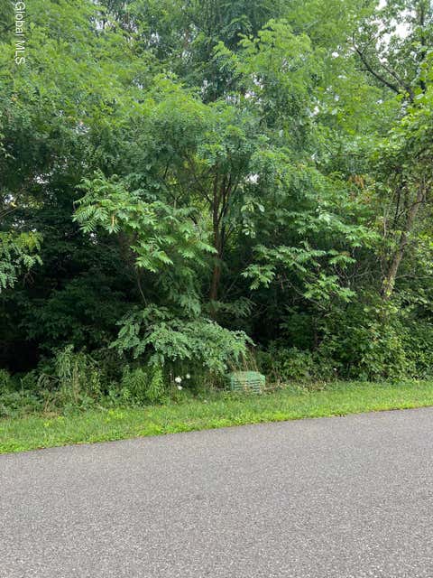 Vacant Land For Sale - L7 Johnson Street<br/> Montgomery County, Canajoharie, NY 13317