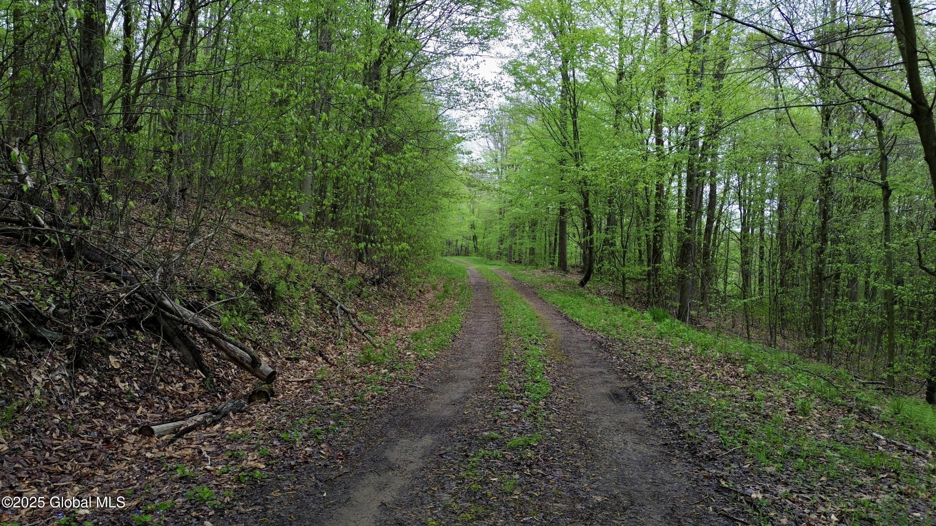 L28.6 Studer Road, Andover, New York image 10