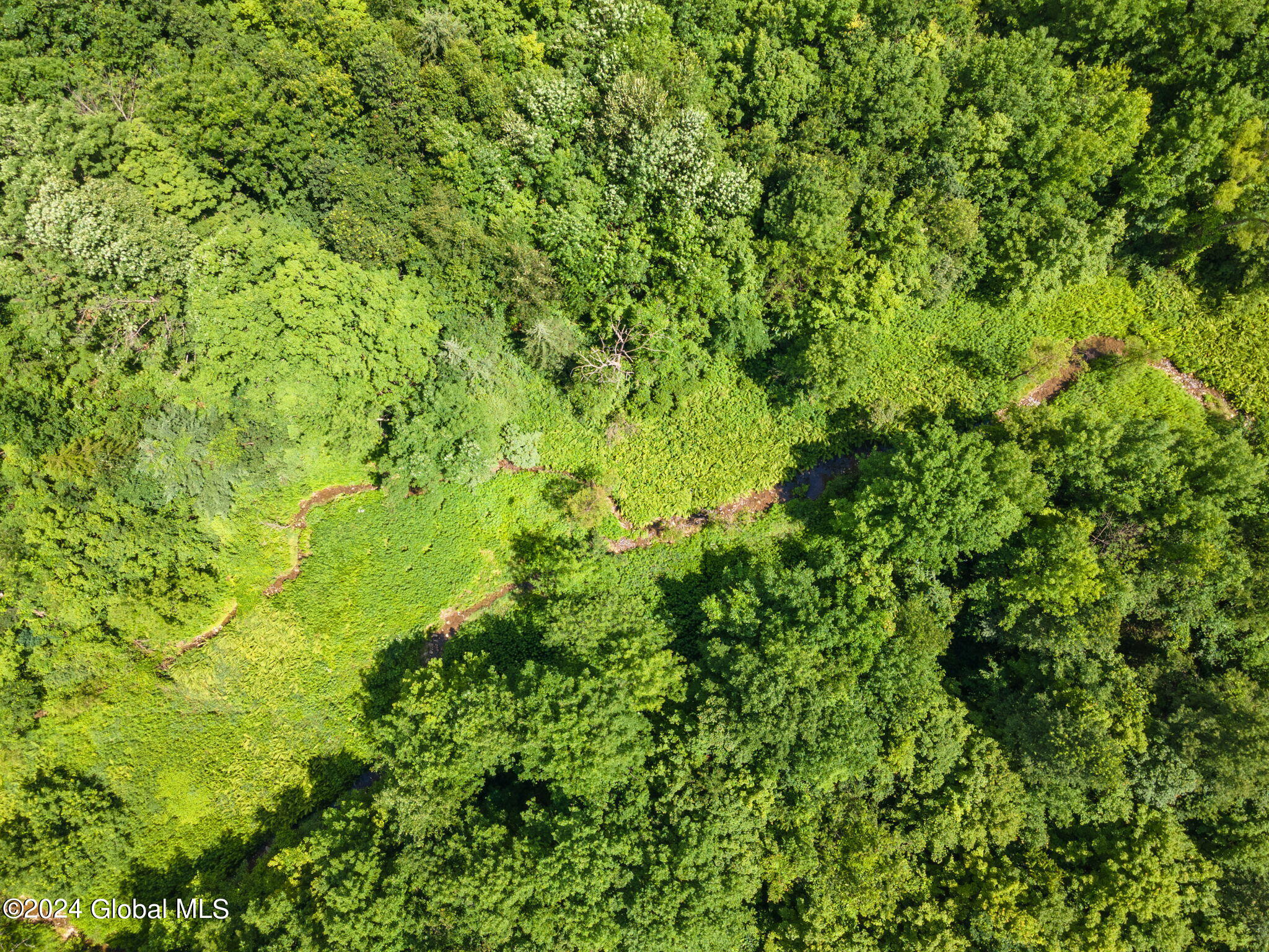 L4.114 Grovenors Corners Road, Cobleskill, New York image 16