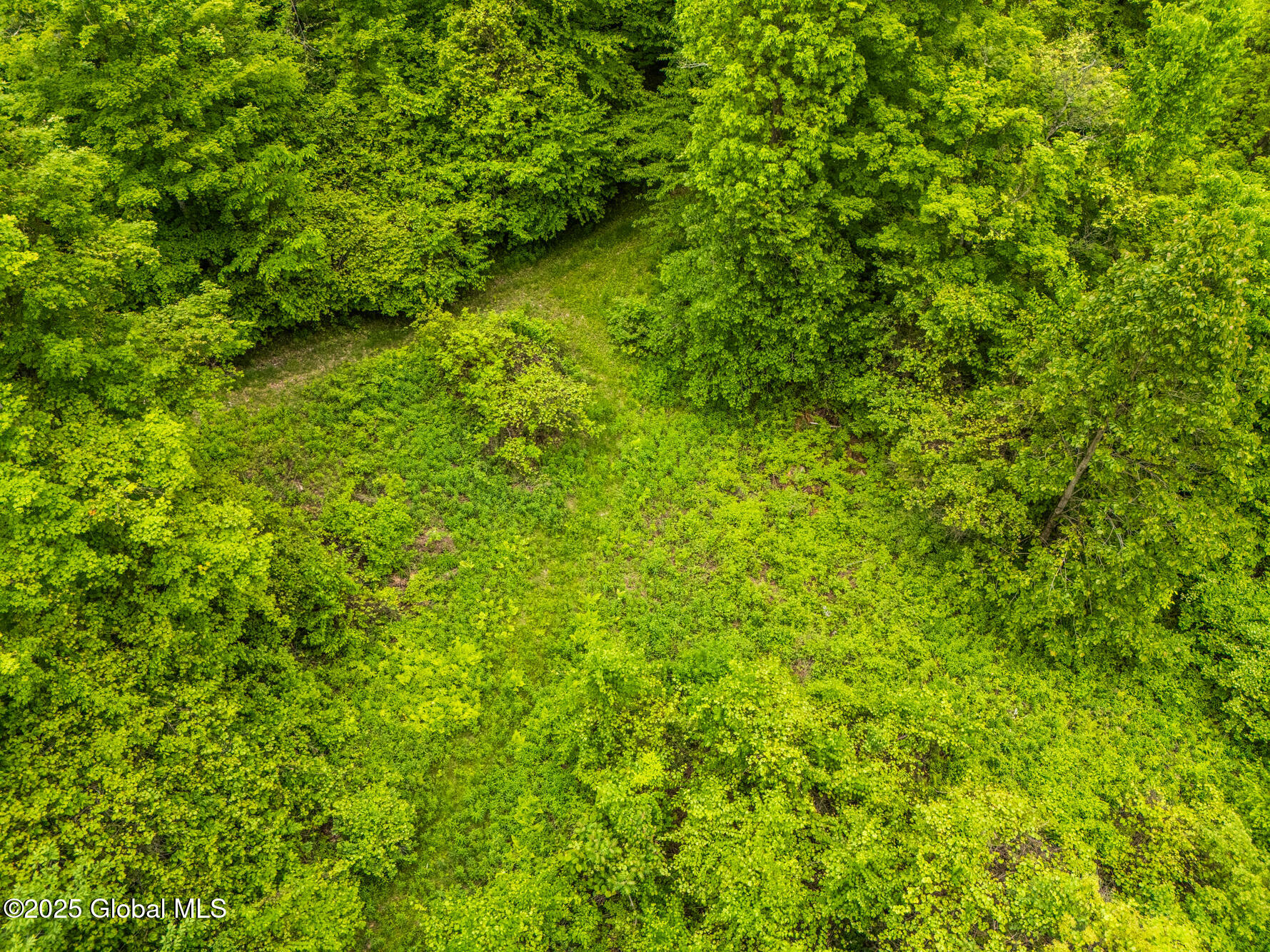 130 Whippoorwill Way, Comstock, New York image 10