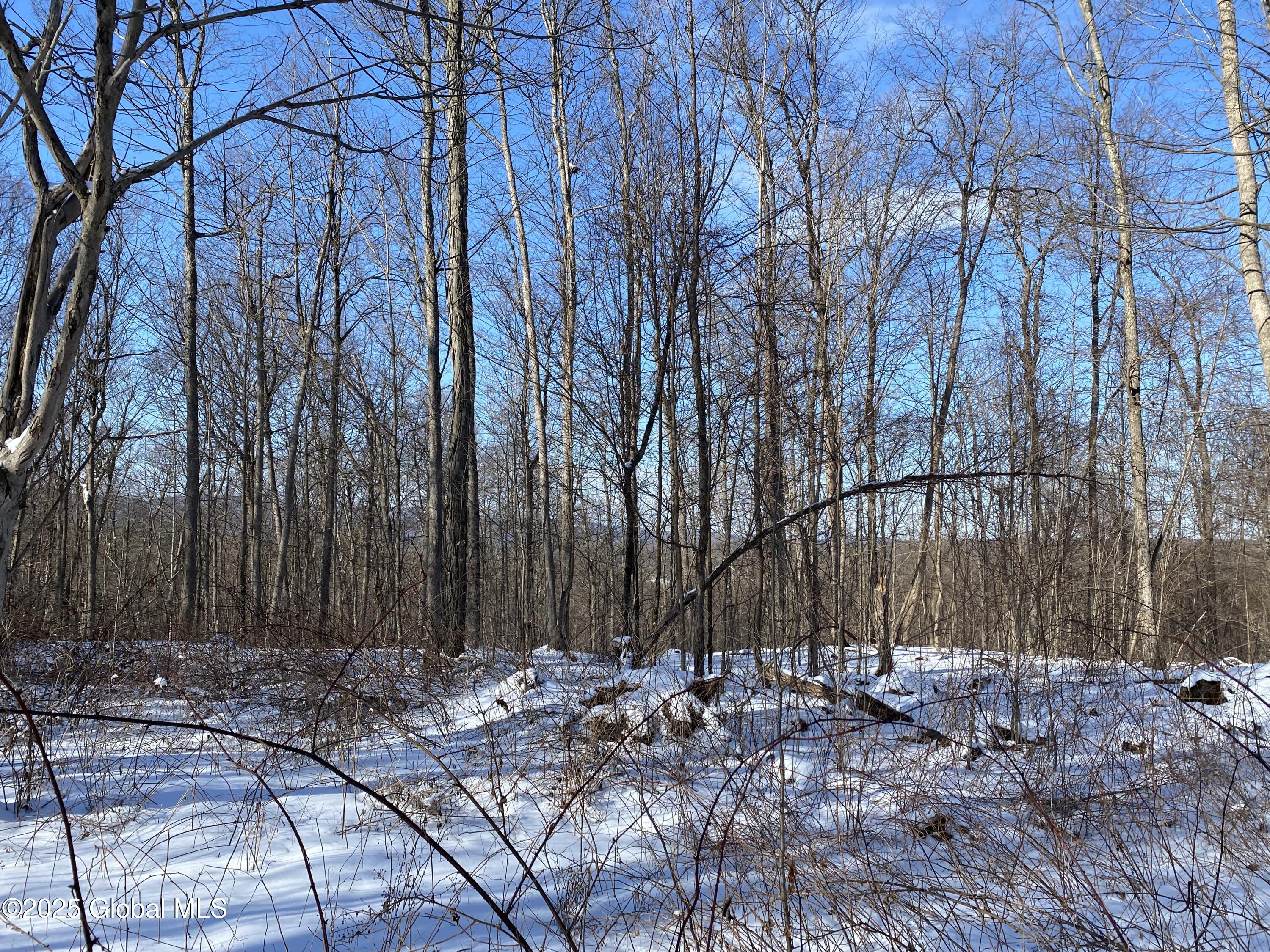 130 Whippoorwill Way, Comstock, New York image 40