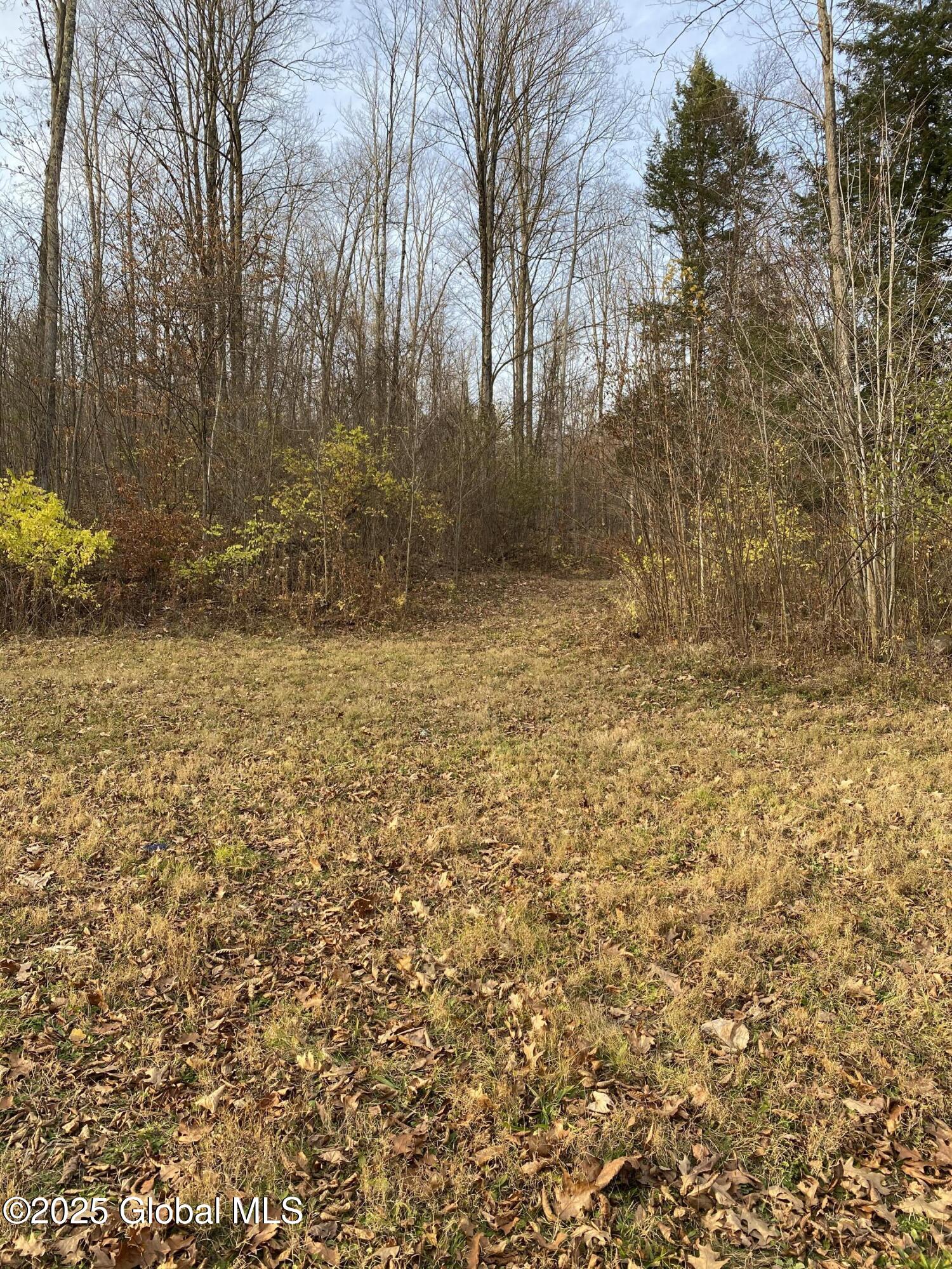 130 Whippoorwill Way, Comstock, New York image 36