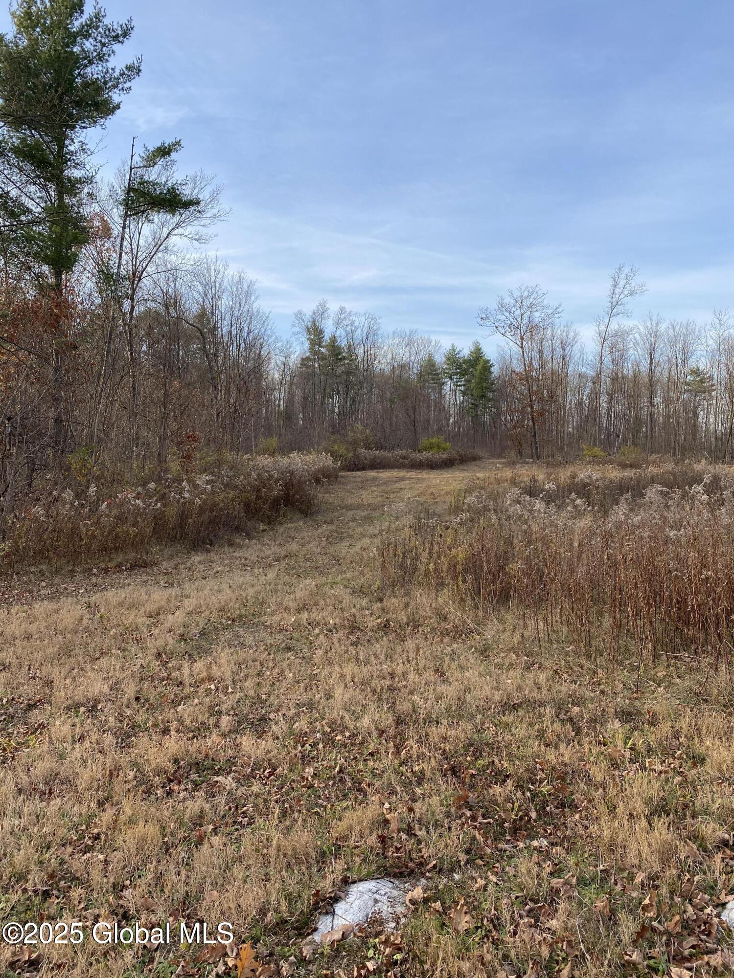 130 Whippoorwill Way, Comstock, New York image 38