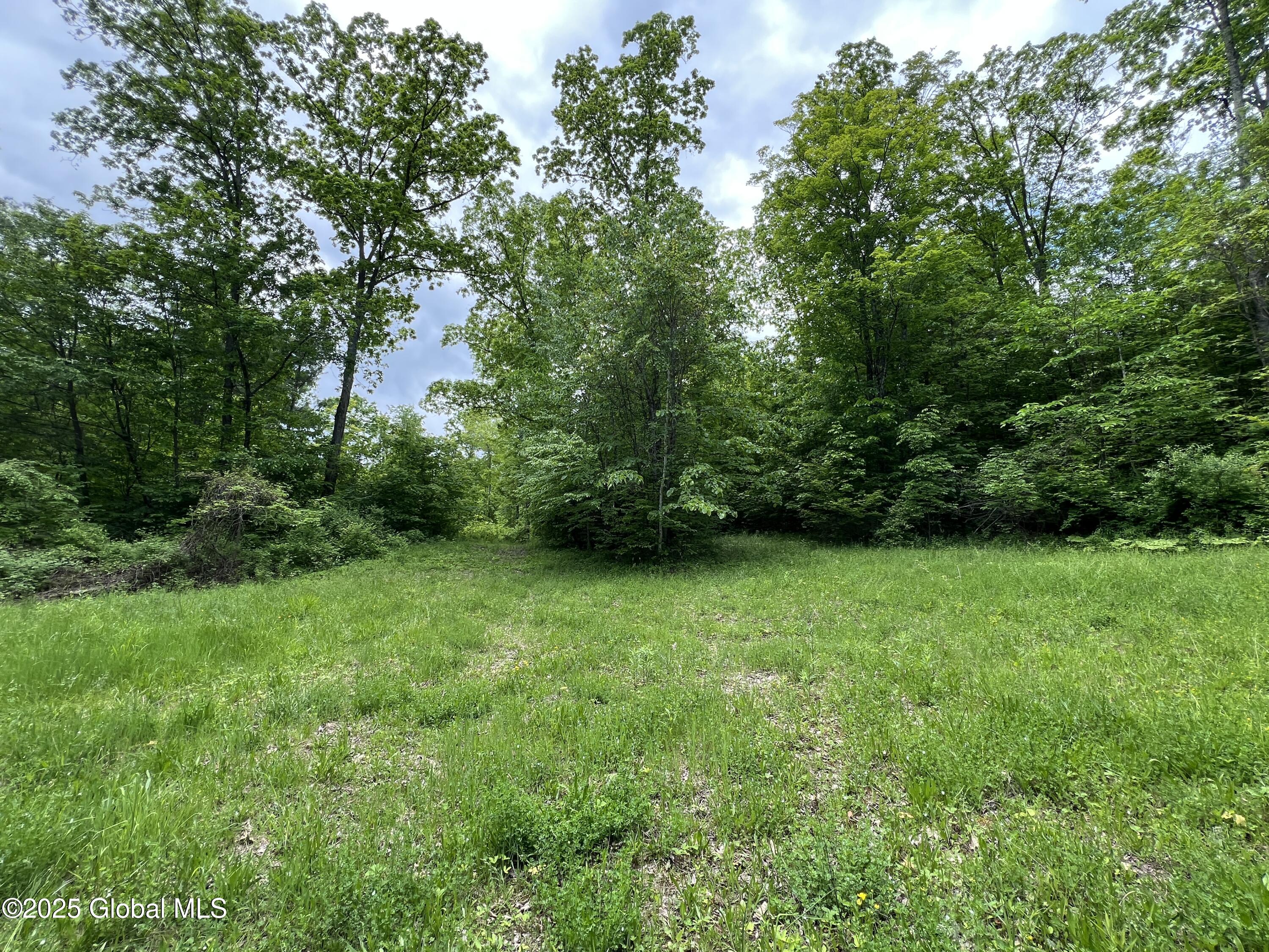 130 Whippoorwill Way, Comstock, New York image 34