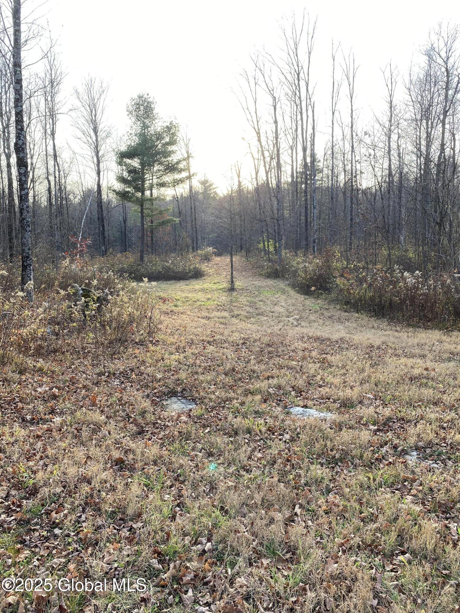 130 Whippoorwill Way, Comstock, New York image 46