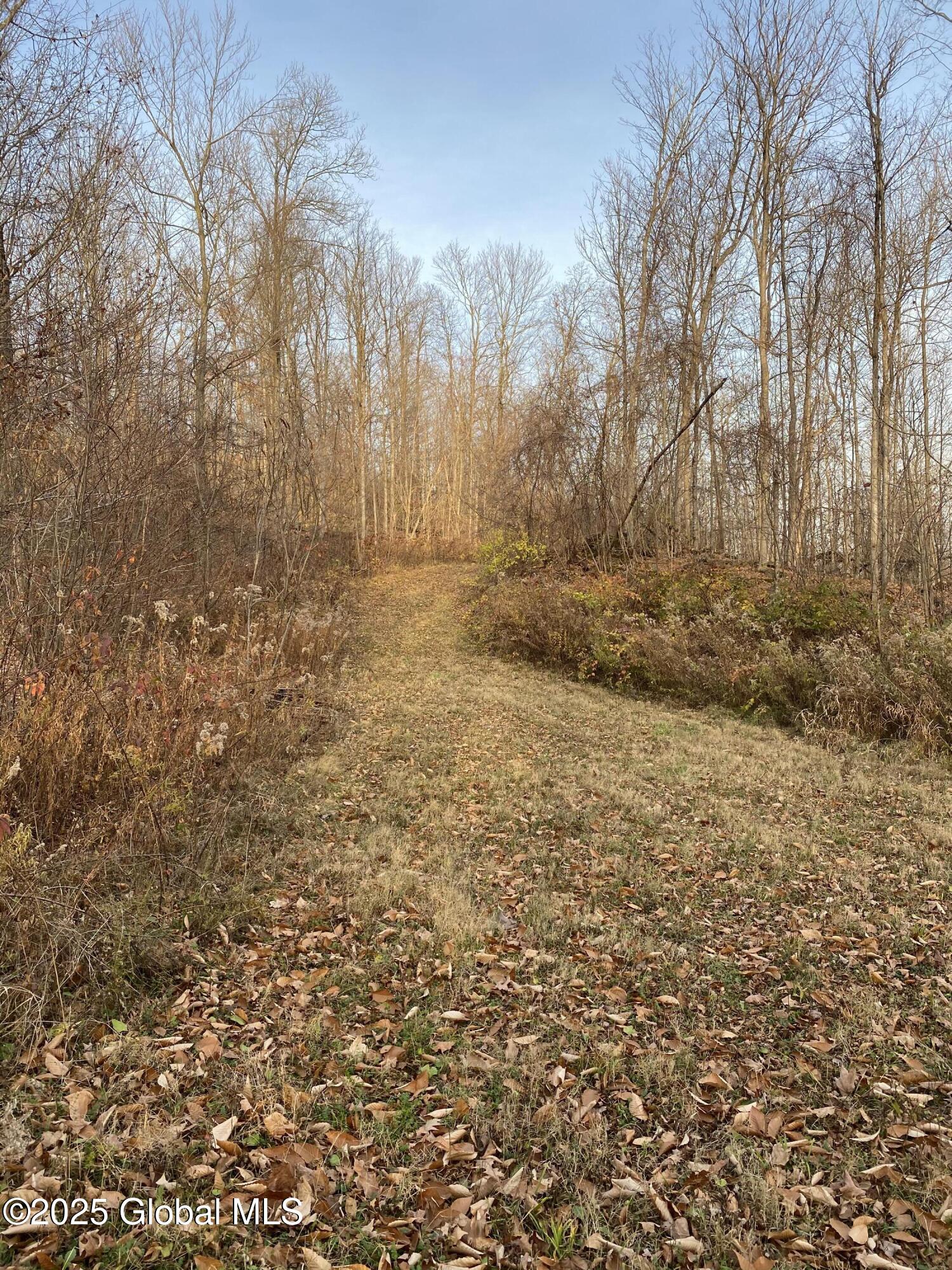 130 Whippoorwill Way, Comstock, New York image 47