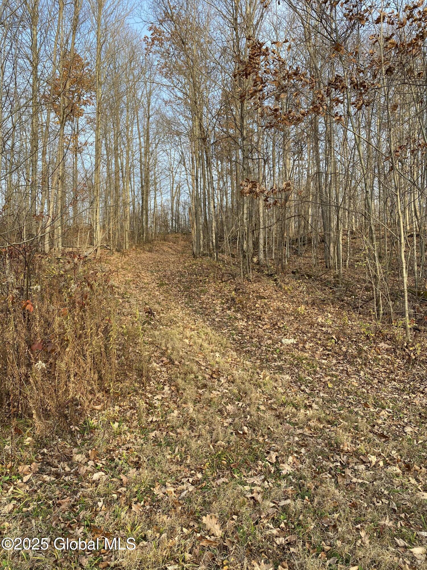 130 Whippoorwill Way, Comstock, New York image 37