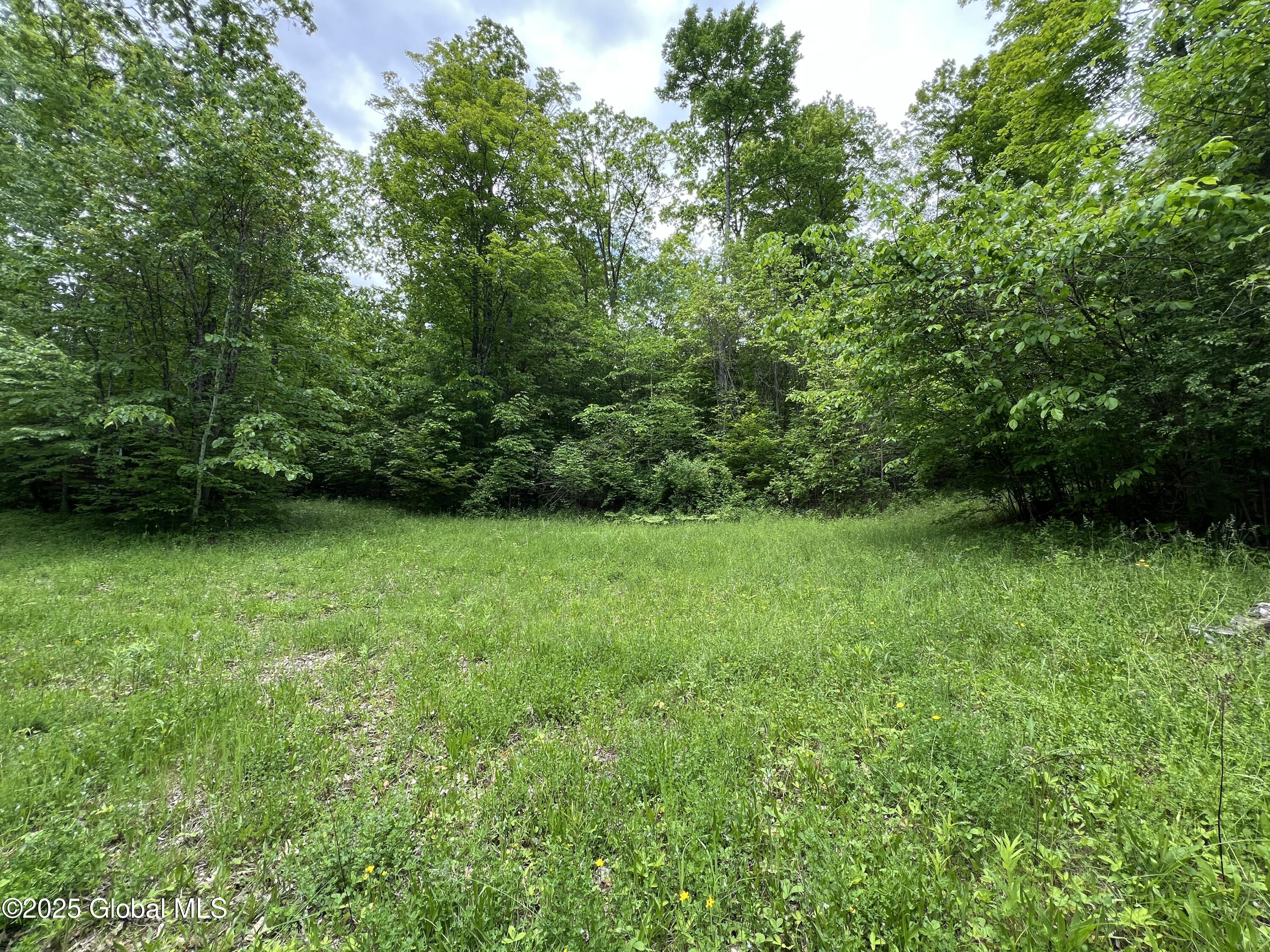130 Whippoorwill Way, Comstock, New York image 35