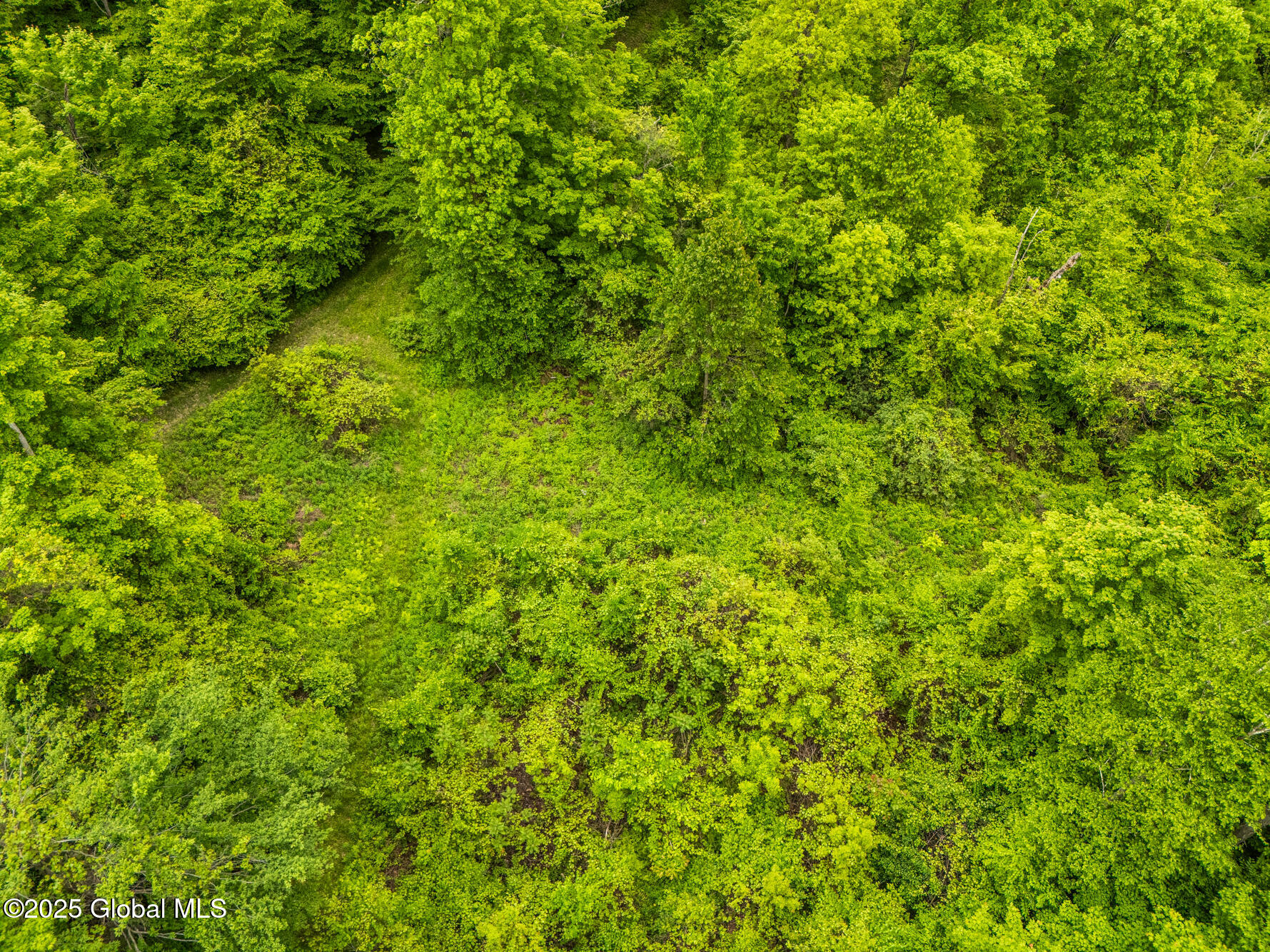 130 Whippoorwill Way, Comstock, New York image 9