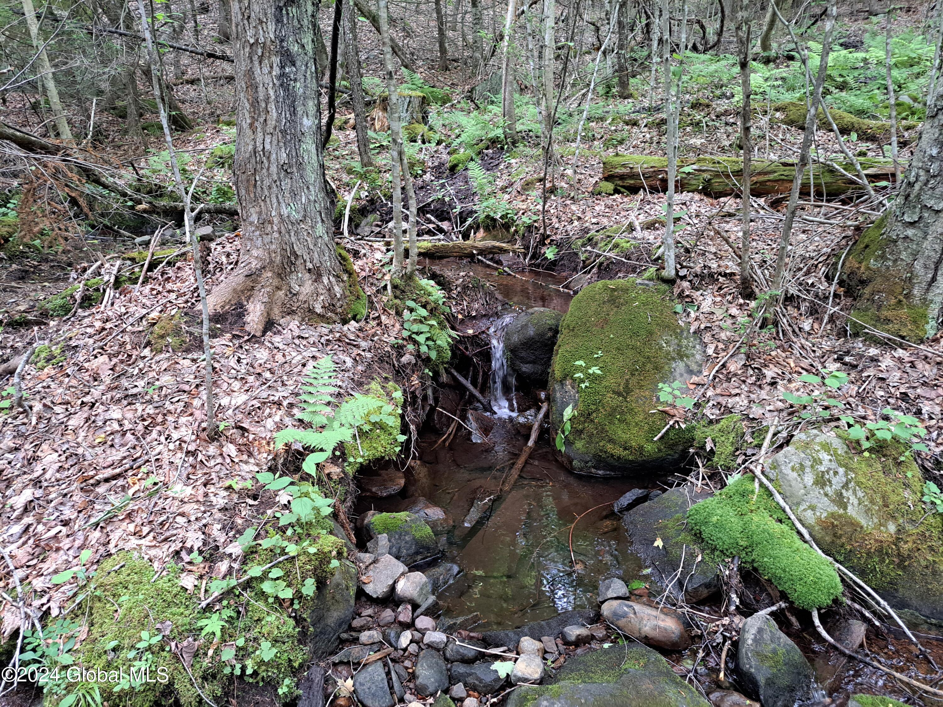 L1.112 Peaseleeville Road, Schuyler Falls, New York image 44