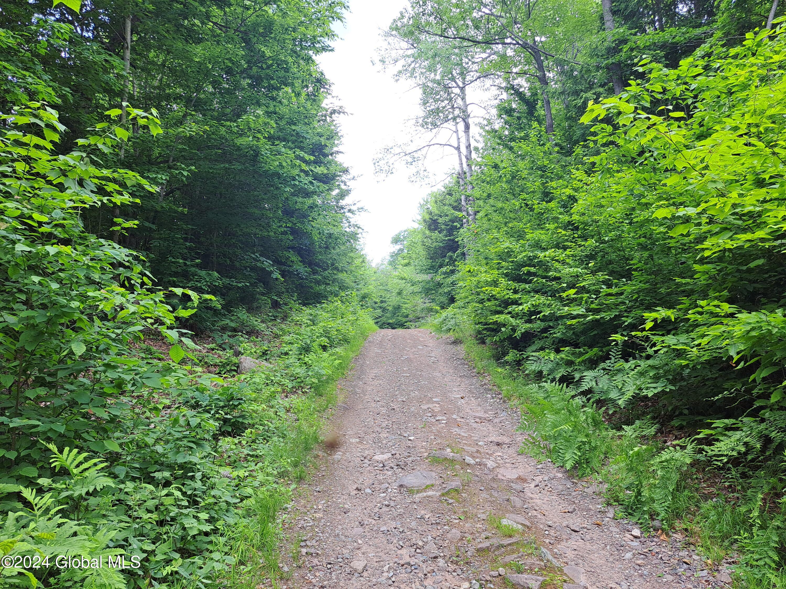 L1.112 Peaseleeville Road, Schuyler Falls, New York image 36