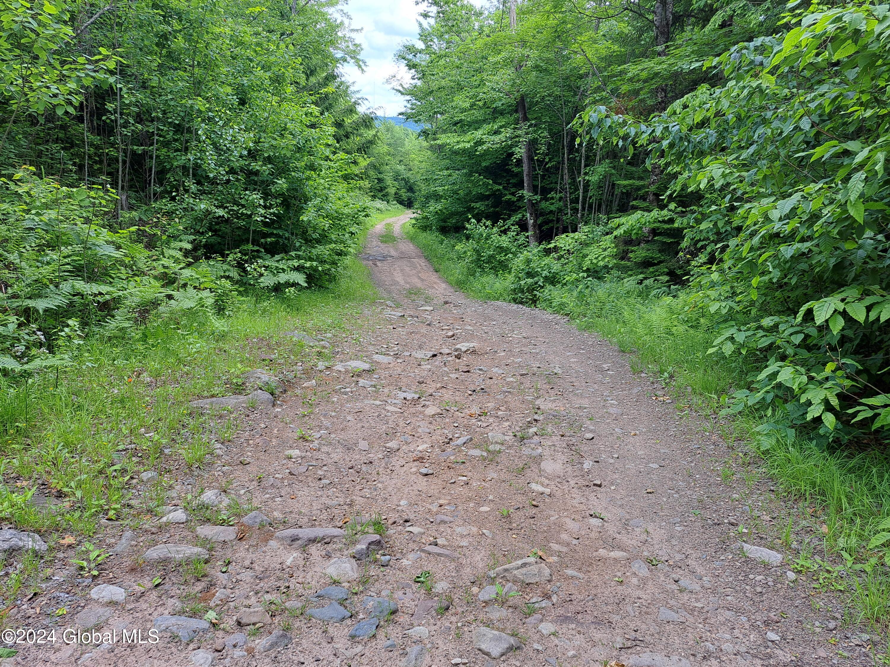 L1.112 Peaseleeville Road, Schuyler Falls, New York image 34