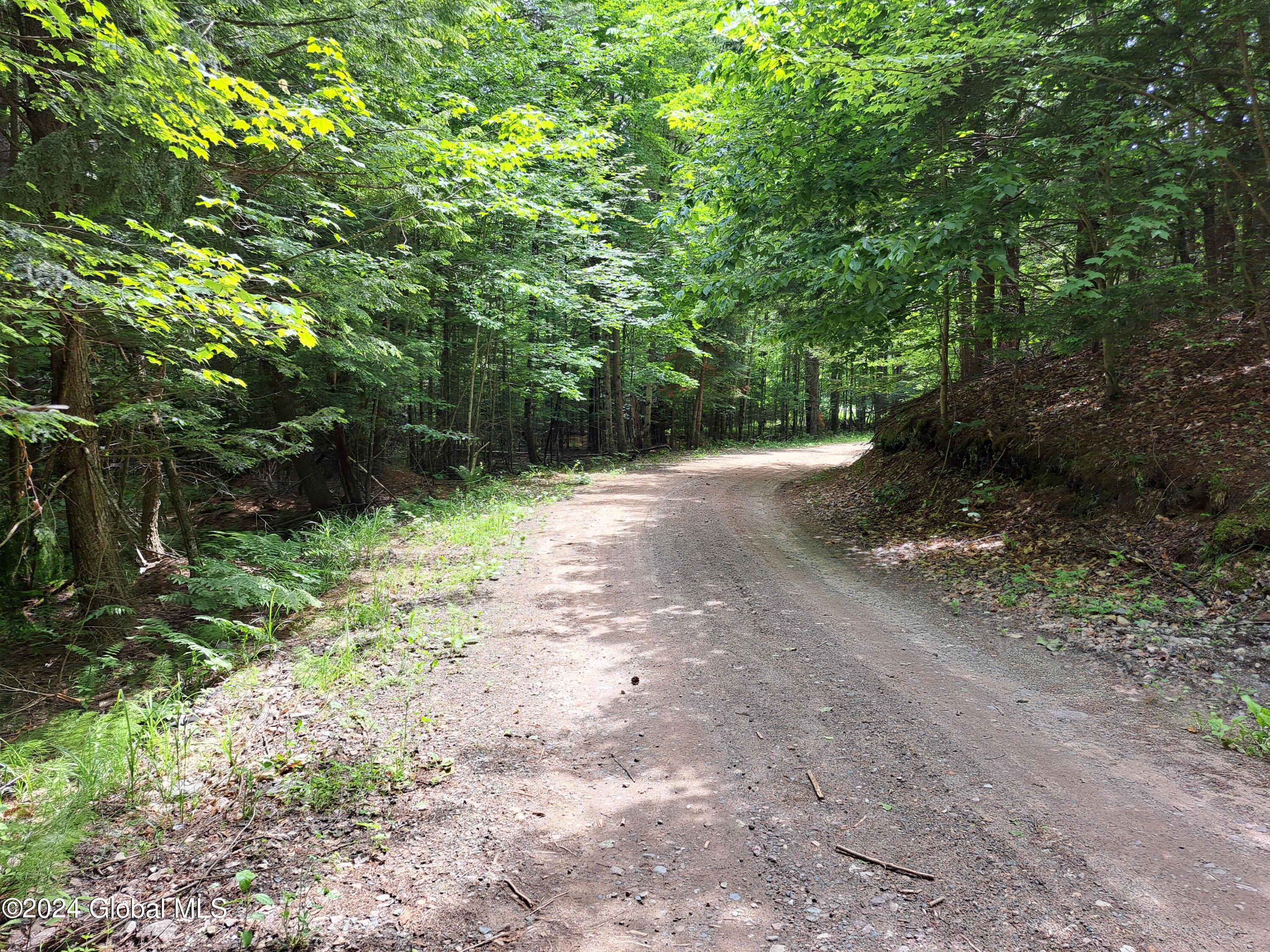 L1.112 Peaseleeville Road, Schuyler Falls, New York image 18