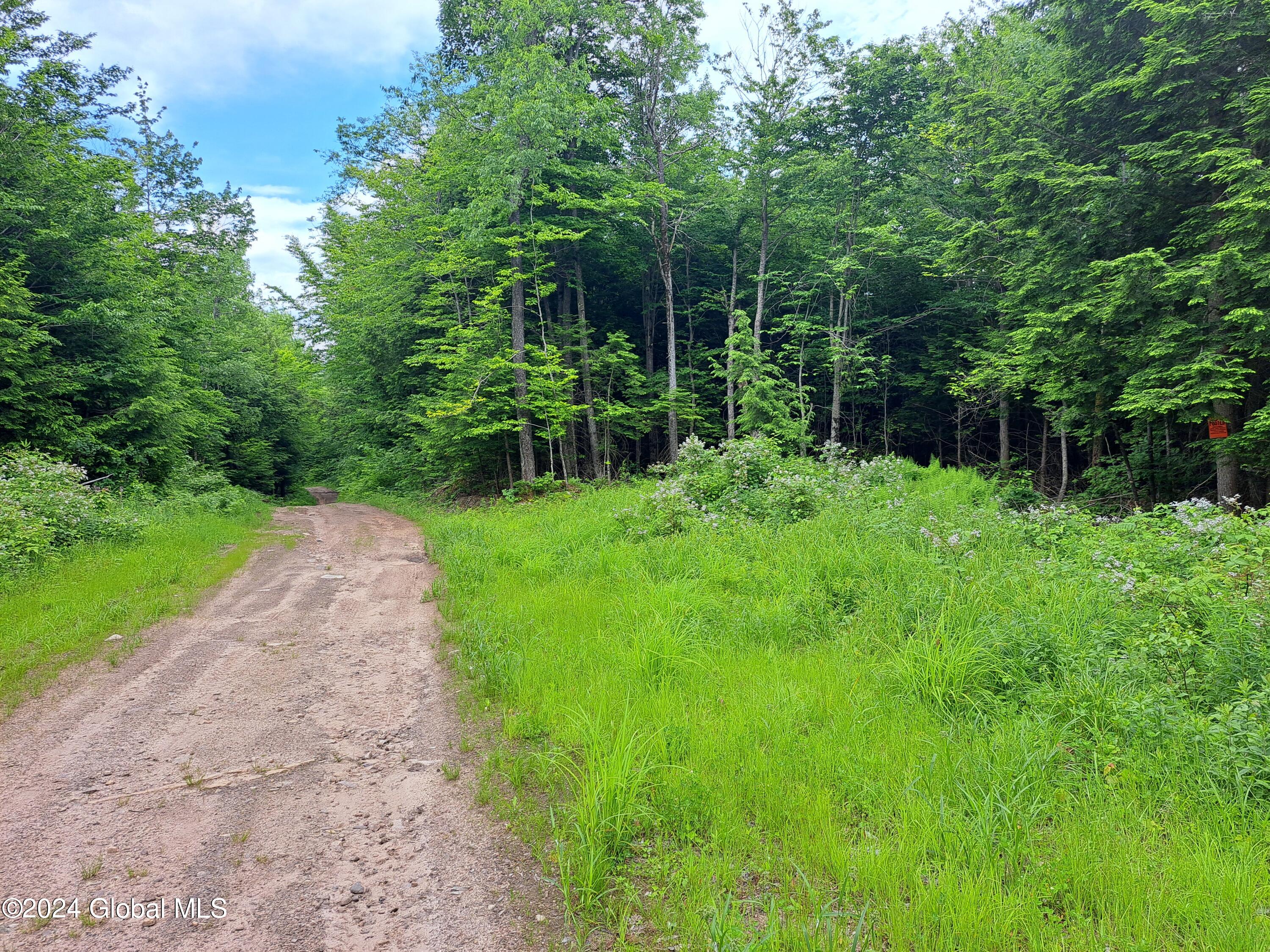 L1.112 Peaseleeville Road, Schuyler Falls, New York image 35