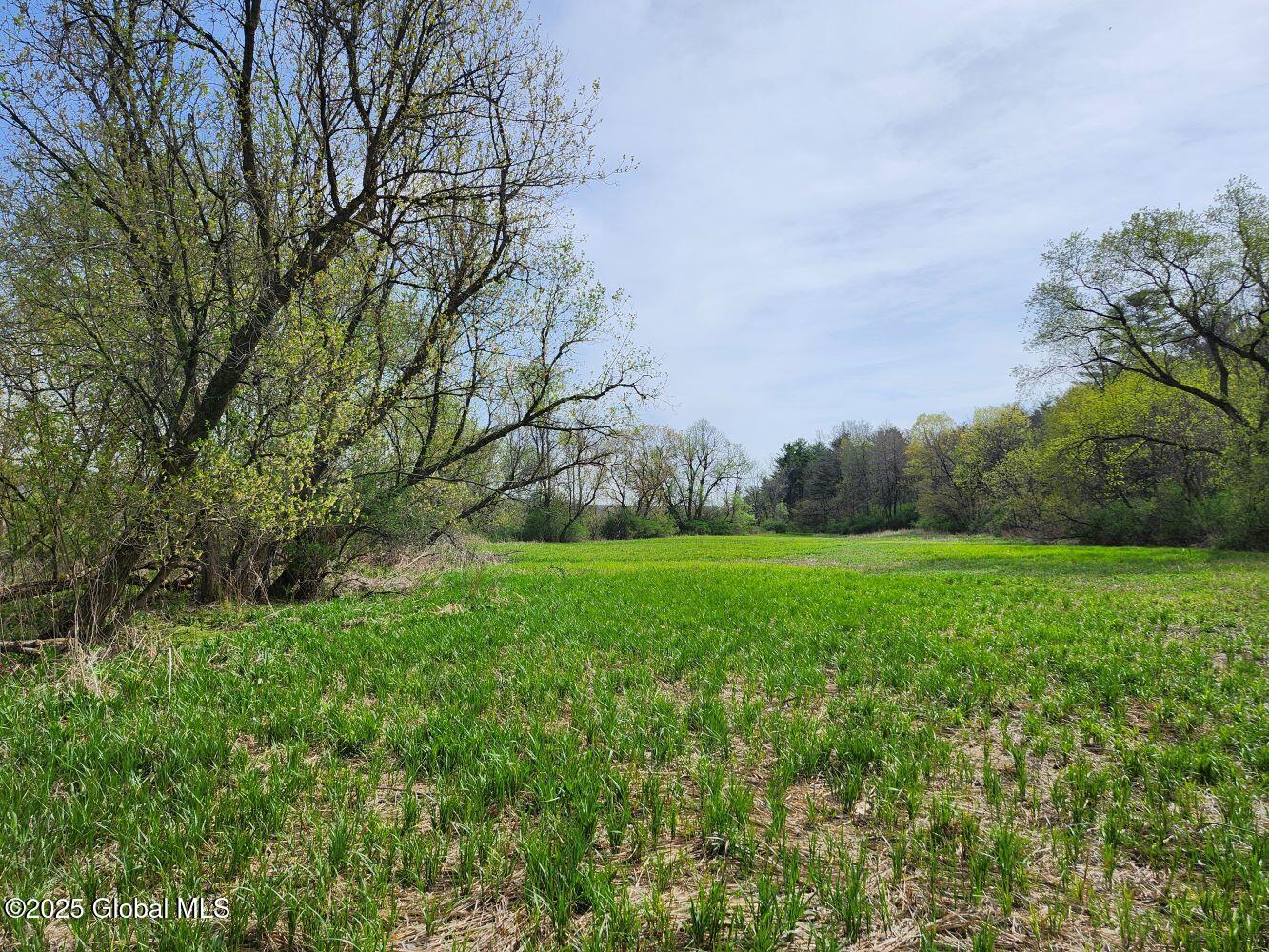 402 County Route 64, Shushan, New York image 37