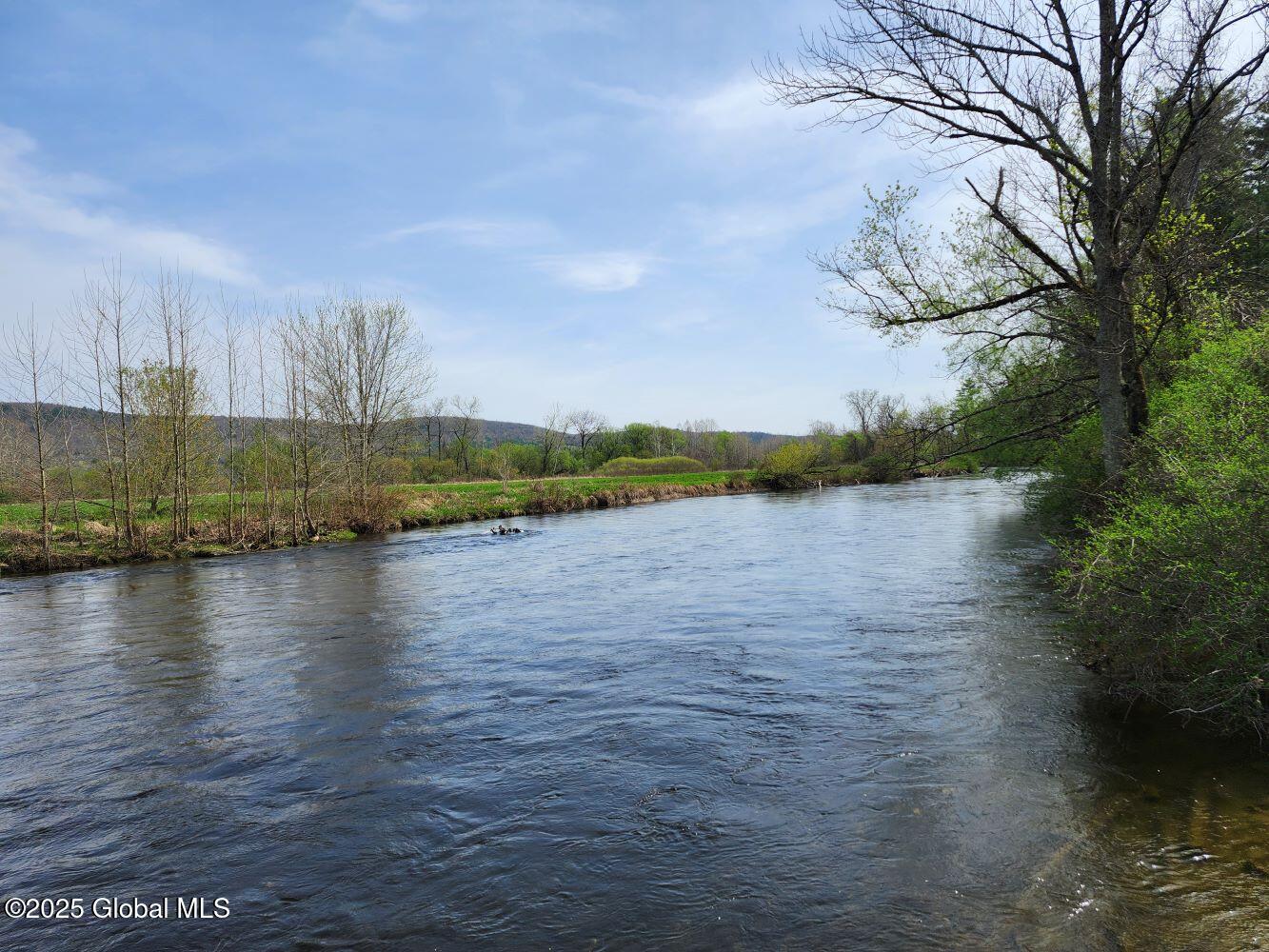 402 County Route 64, Shushan, New York image 33