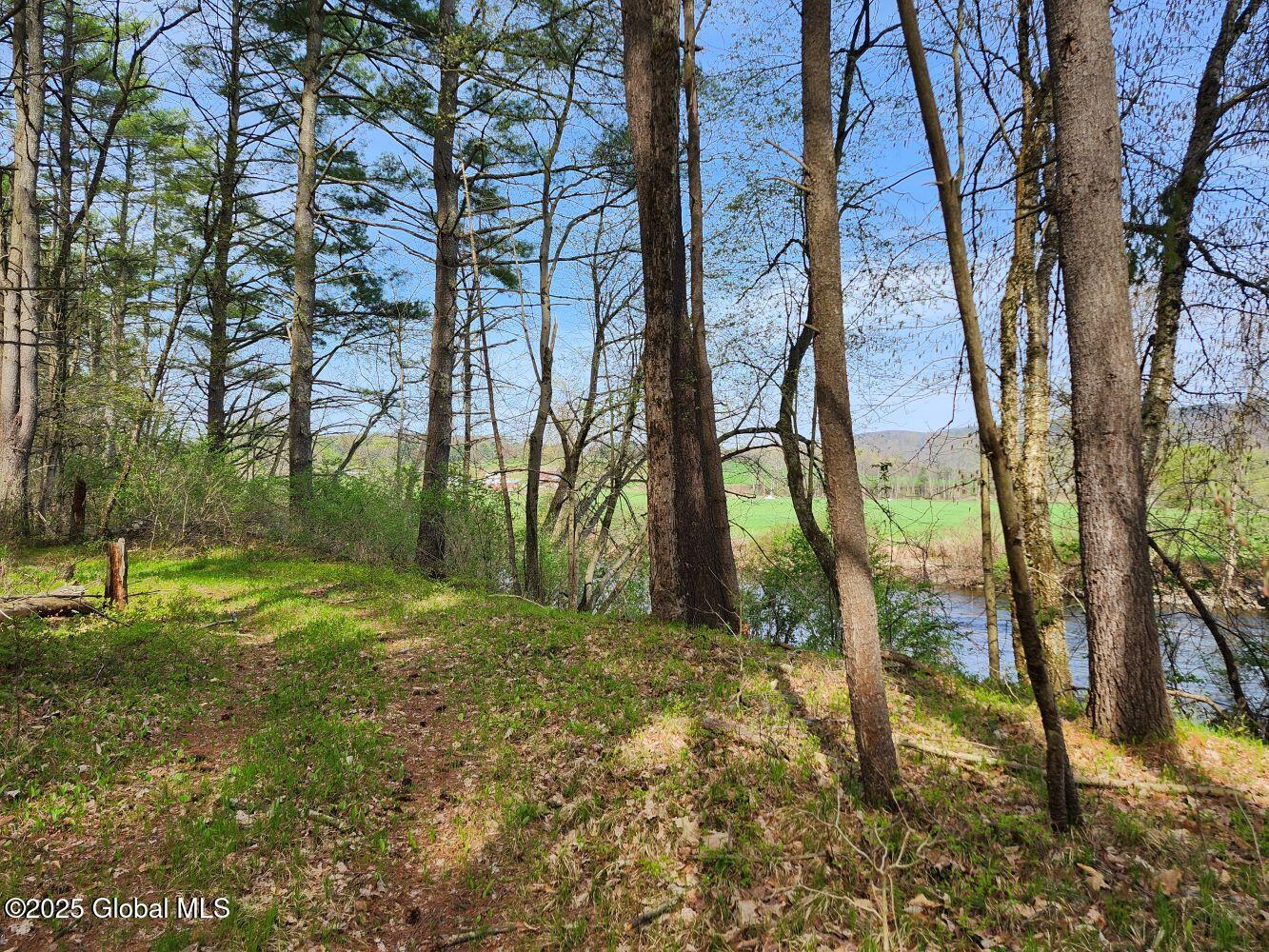 402 County Route 64, Shushan, New York image 41