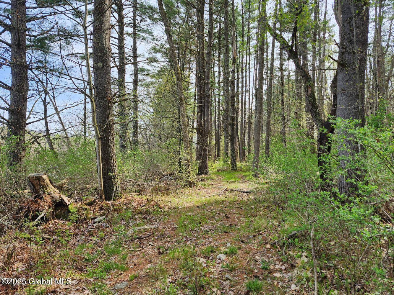402 County Route 64, Shushan, New York image 39