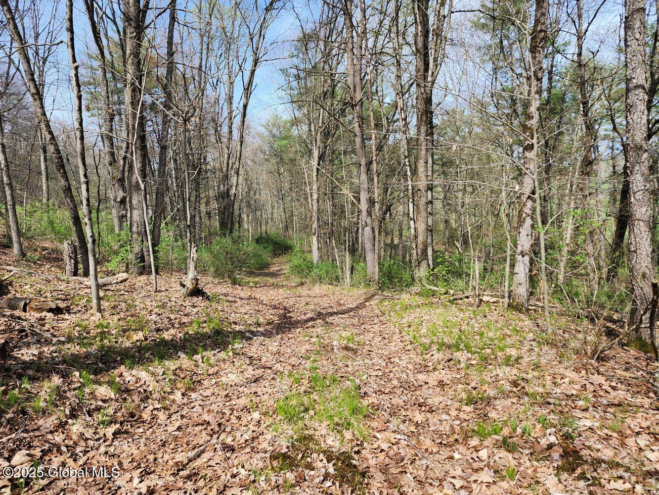 402 County Route 64, Shushan, New York image 29