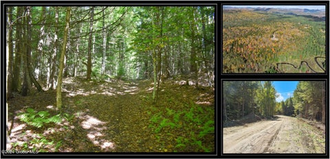 Vacant Land For Sale - 82 Carriage Knoll Road<br/> Chestertown, NY 12817