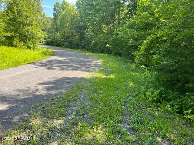 L16.111 Donlan Heights Road, Middleburgh, New York image 16