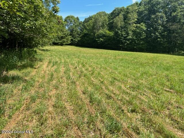 L16.111 Donlan Heights Road, Middleburgh, New York image 2