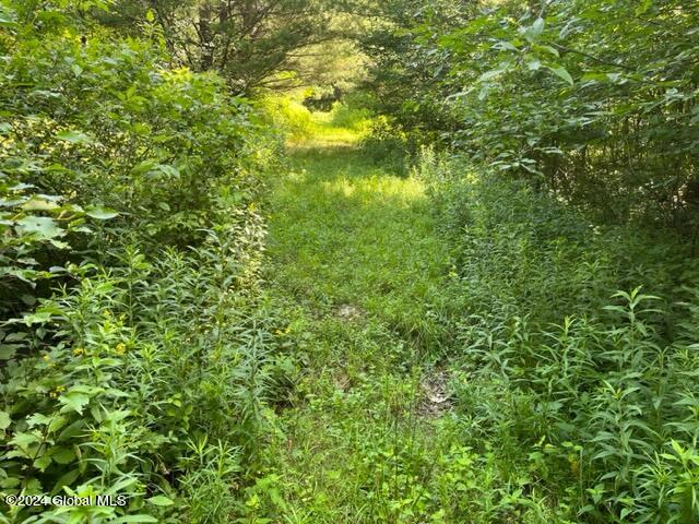 L16.111 Donlan Heights Road, Middleburgh, New York image 14