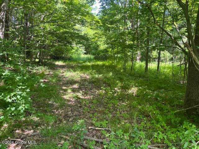 L16.111 Donlan Heights Road, Middleburgh, New York image 11