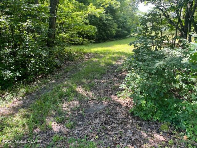 L16.111 Donlan Heights Road, Middleburgh, New York image 6