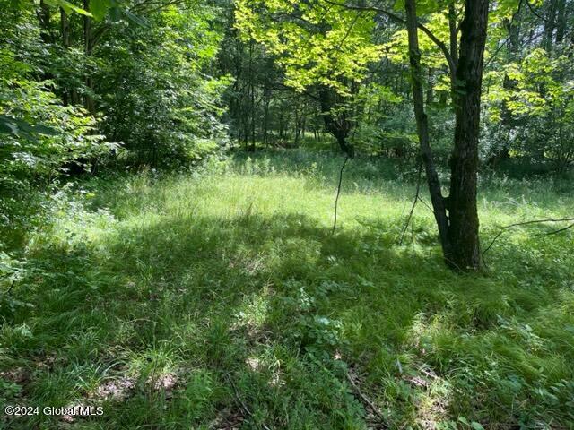 L16.111 Donlan Heights Road, Middleburgh, New York image 10