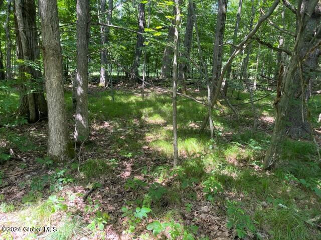 L16.111 Donlan Heights Road, Middleburgh, New York image 12