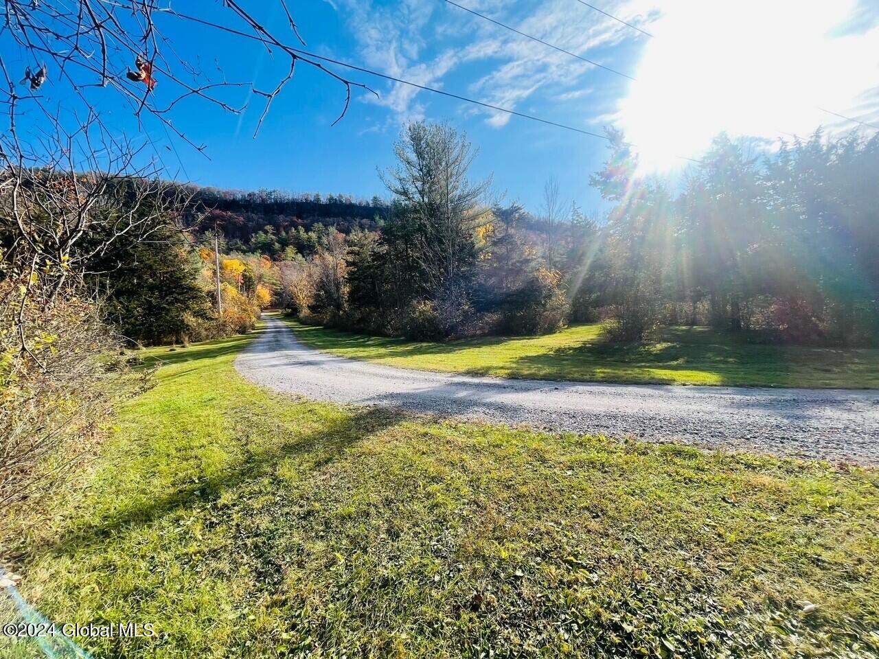 106.1-1-1. Cliffside Drive, Middleburgh, New York image 2