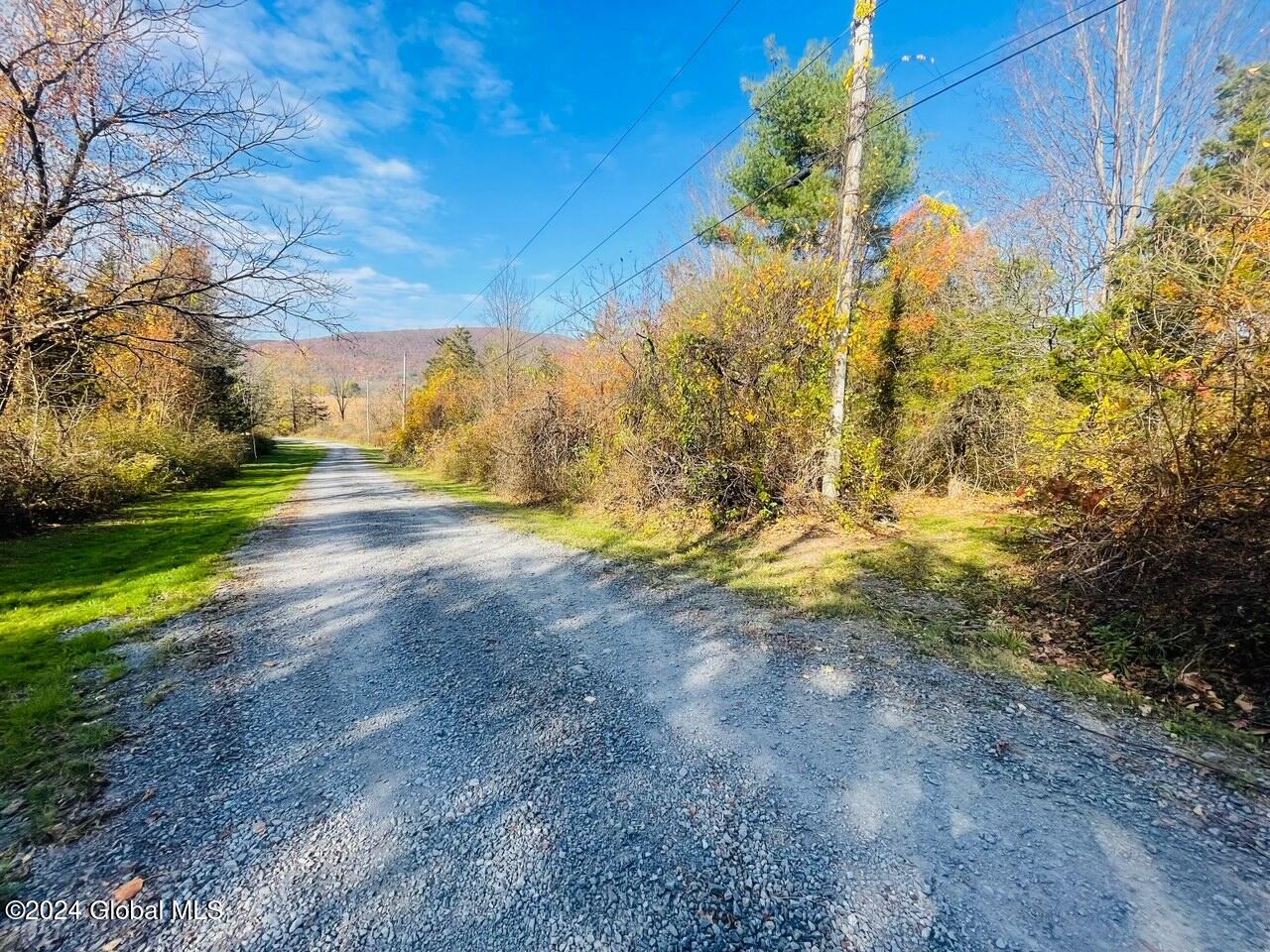 106.1-1-1. Cliffside Drive, Middleburgh, New York image 5