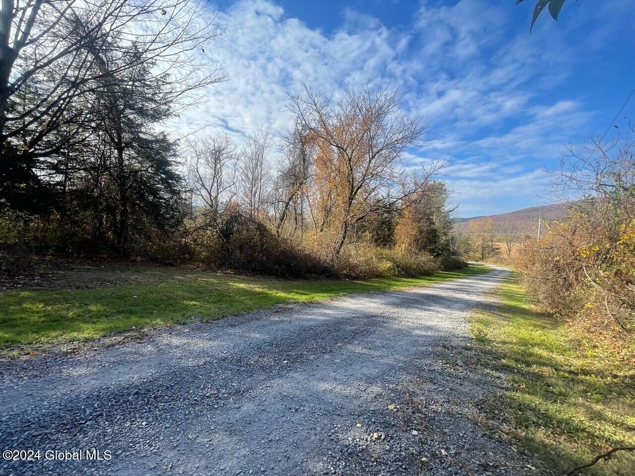 106.1-1-1. Cliffside Drive, Middleburgh, New York image 13