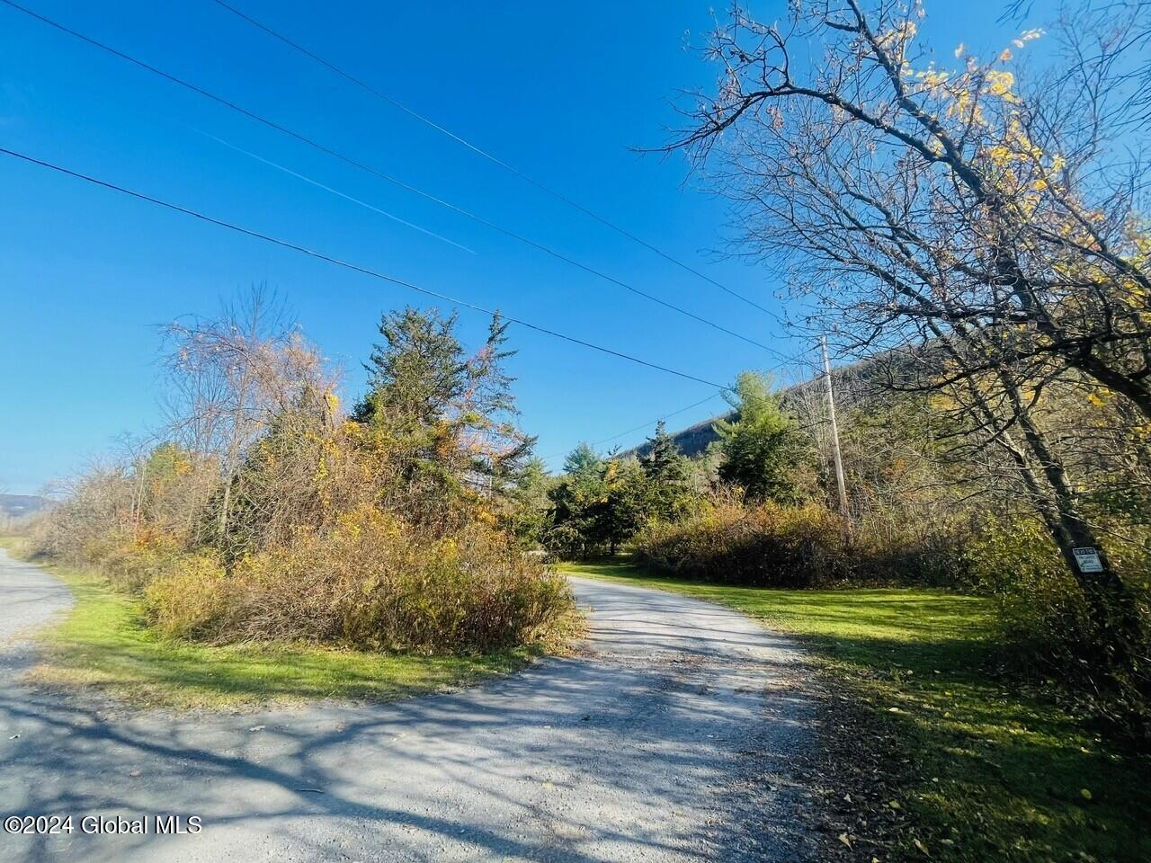 106.1-1-1. Cliffside Drive, Middleburgh, New York image 6