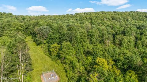 Vacant Land For Sale - L31.1 County Rd 32<br/> Chenango County, Norwich, NY 13815