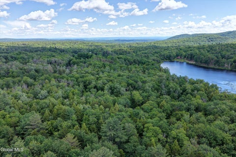 Photo of L13 Newkirks Lake Road, Caroga, NY 12032 (MLS # 202626041)