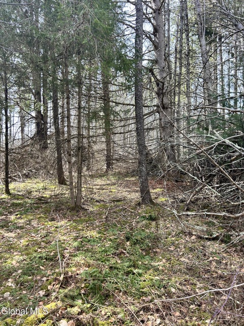 Vacant Land For Sale - L6.34 Weaver Dam Road<br/> Petersburgh, NY 12138