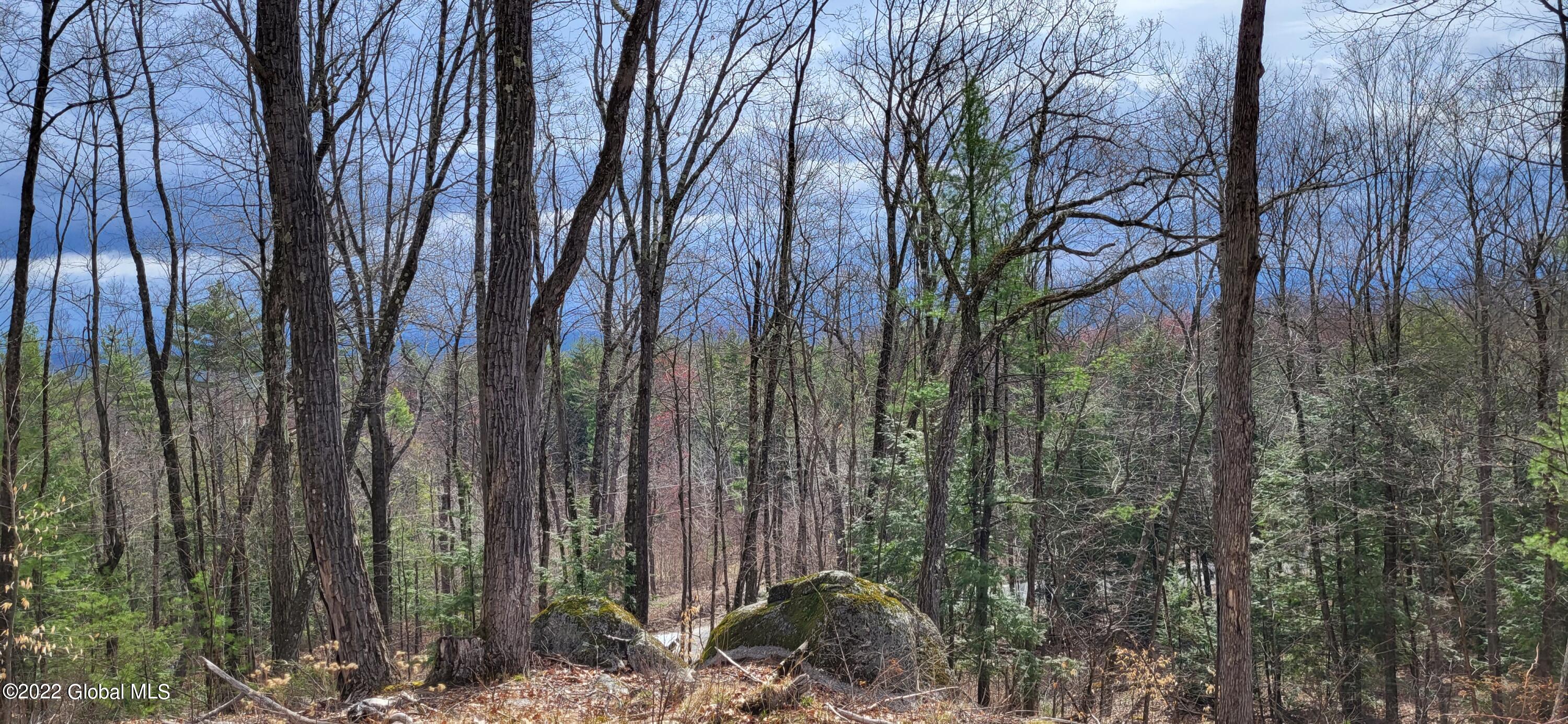 L3 Clendon Brook Road #ADIRONDACK PK, Queensbury, New York image 1