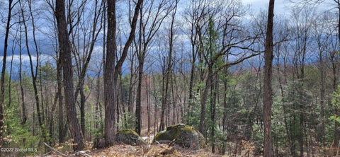 Vacant Land For Sale - L3 Clendon Brook Road #ADIRONDACK PK<br/> Queensbury, NY 12804