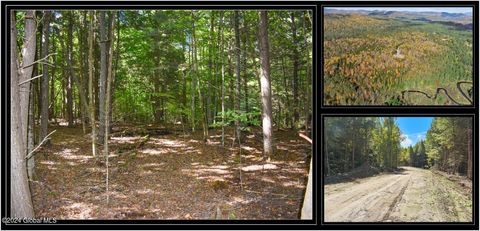 Vacant Land For Sale - 112 Carriage Knoll Road<br/> Chestertown, NY 12817