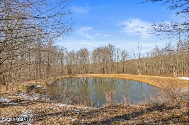 401 Curtis Lane, Hamden, New York image 37