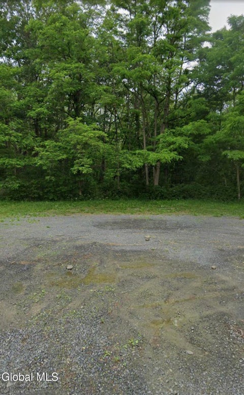 Vacant Land For Sale - L61 Hannacreek Road<br/> Albany County, Coeymans, NY 12143
